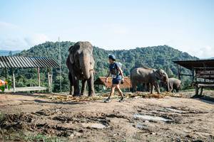 BIB: 
                            <button type="button" onclick="openModal(22422911)" class="btn btn-primary btn-sm float-right btn-popup" data-toggle="modal" data-target=".modal-high-quality">
                        <i class="fas fa-shopping-cart"></i> Add to Cart
                    </button>
                                            <button type="button" onclick="isThisMe(22422911, true)" class="btn btn-success btn-sm float-right btn-popup btn-isme hidden" data-toggle="tooltip" data-placement="bottom" title="นี่คือรูปของคุณใช่ไหม คลิกที่นี่เพื่อเอาเข้าอัลบั้ม">
                        <i class="fas fa-plus"></i> Add to album
                    </button>
                    <button type="button" onclick="isThisMe(22422911, false)" class="btn btn-warning btn-sm float-right btn-popup btn-isnotme hidden">
                        <i class="fas fa-ban"></i> Remove from album
                    </button>